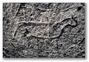 Punta San Nicola antichi Gaaffiti