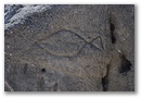 Punta San Nicola graffito raffigurante un tonno