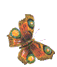 Favignana la grande farfalla informazioni turistiche. - The big Butterfly -